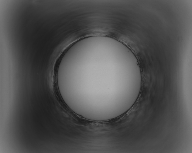 X0000100320338200806191008