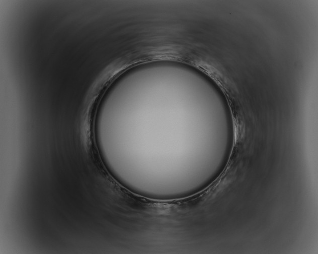 X0000100320339200806191008