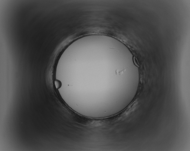 X0000100320341200806191008