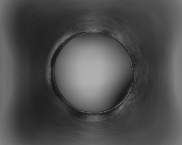 X0000100320342200806191008