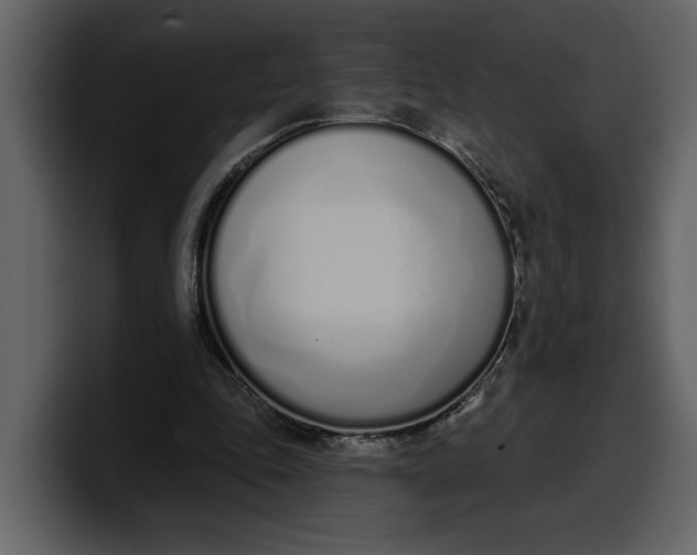 X0000100320343200806191008