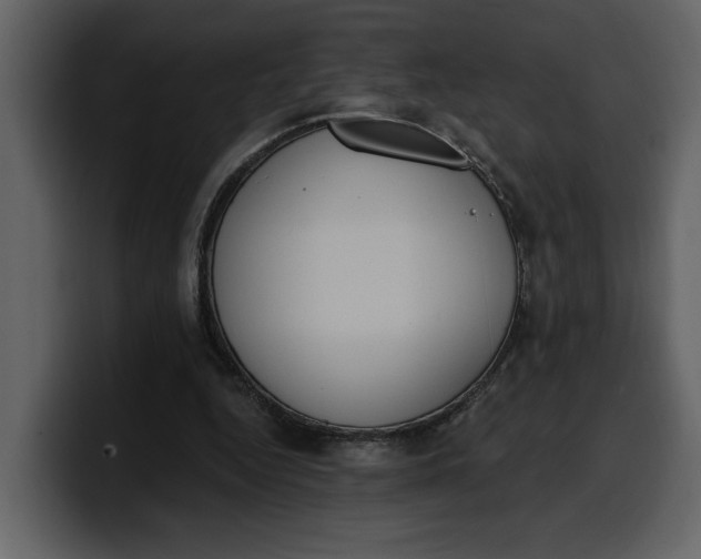 X0000100320344200806191008