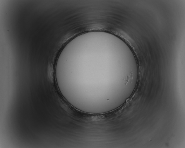 X0000100320345200806191008