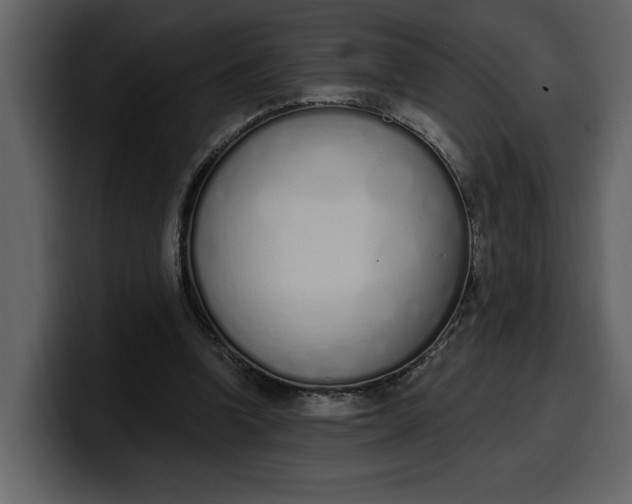 X0000100320346200806191008