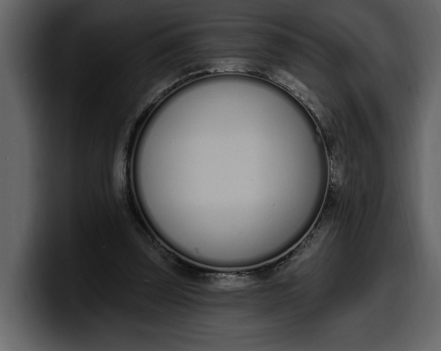 X0000100320347200806191008