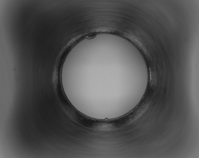 X0000100320348200806191008