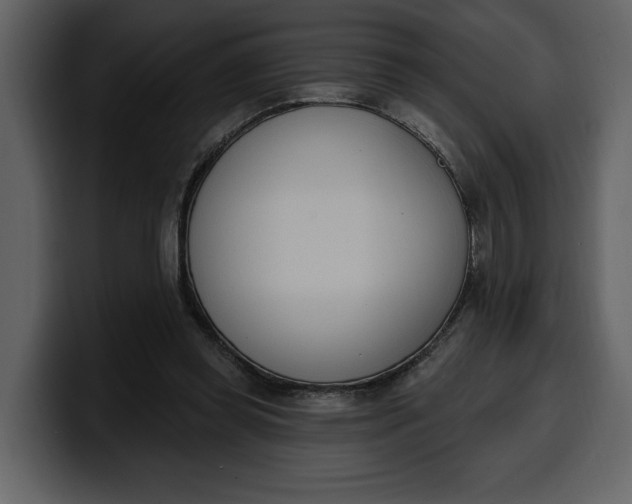 X0000100320349200806191008