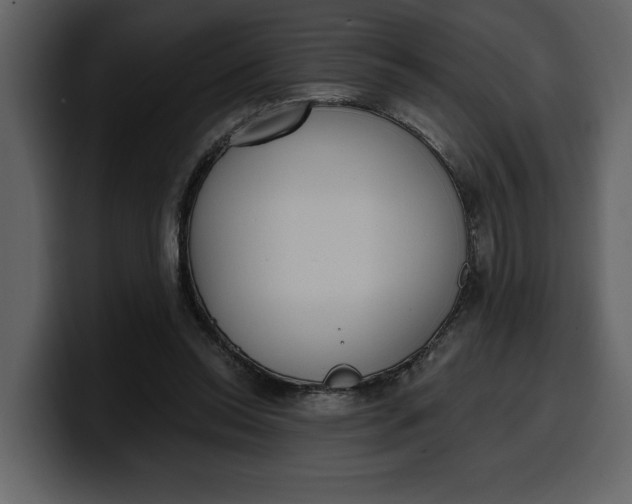 X0000100320350200806191008