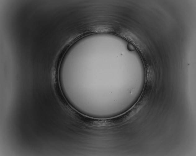 X0000100320351200806191008