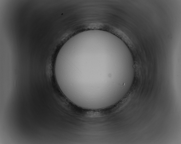 X0000100320354200806191008