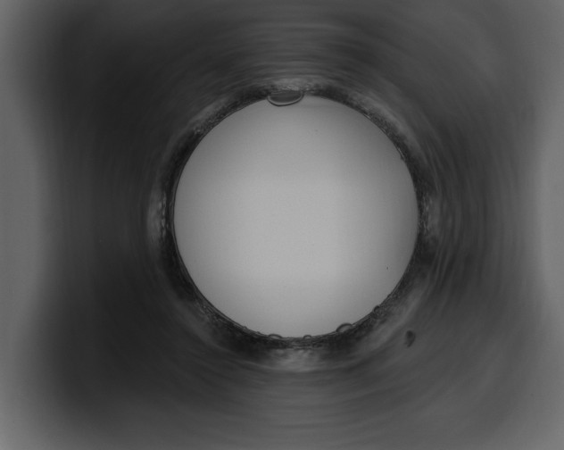 X0000100320356200806191008