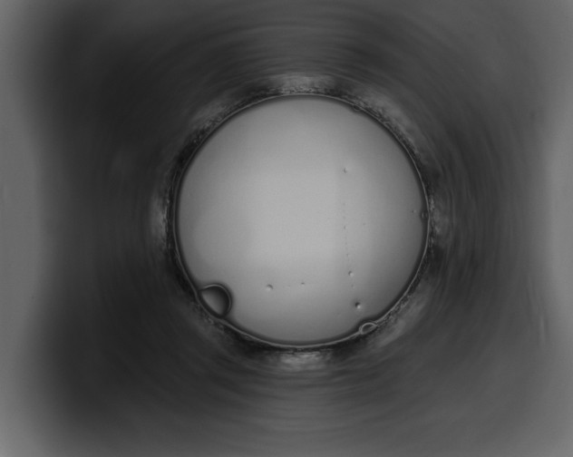 X0000100320357200806191008