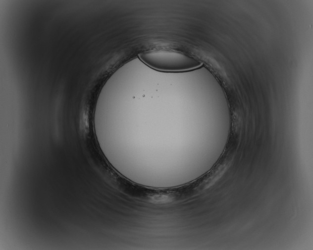 X0000100320358200806191008