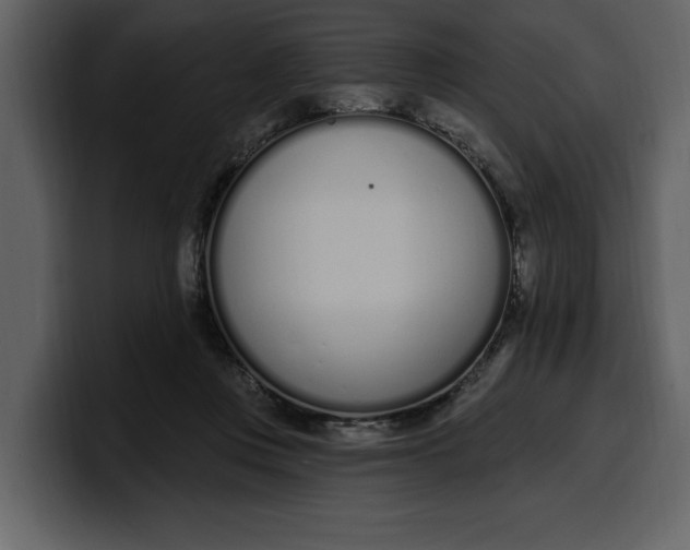 X0000100320359200806191008