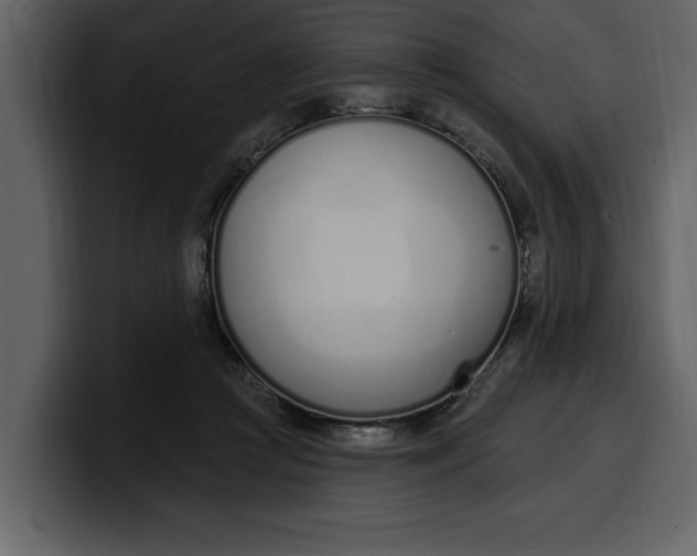 X0000100320361200806191008