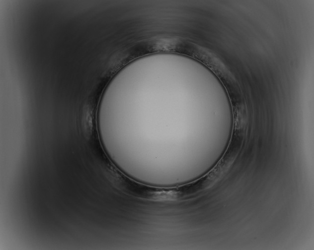 X0000100320363200806191008