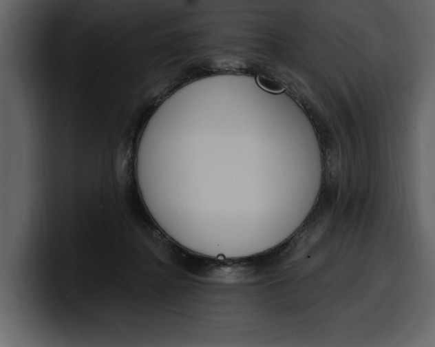 X0000100320364200806191008