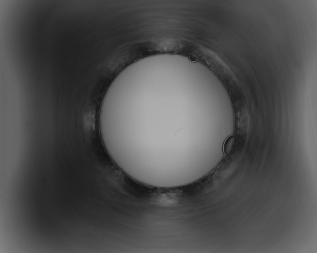 X0000100320368200806191008