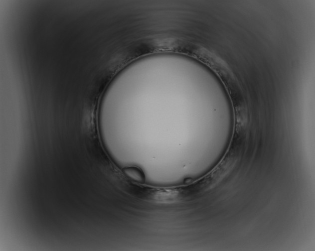 X0000100320369200806191008