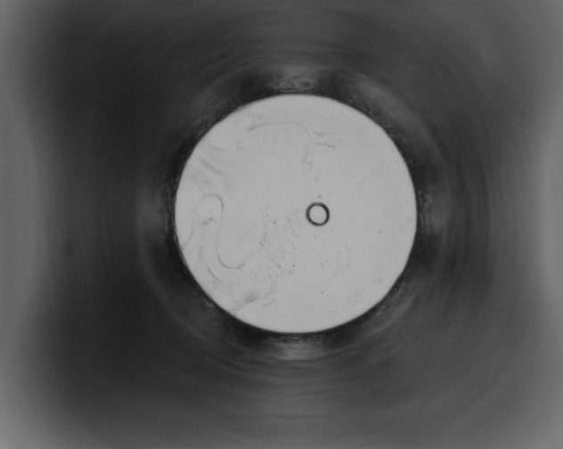 X0000100320370200806191008