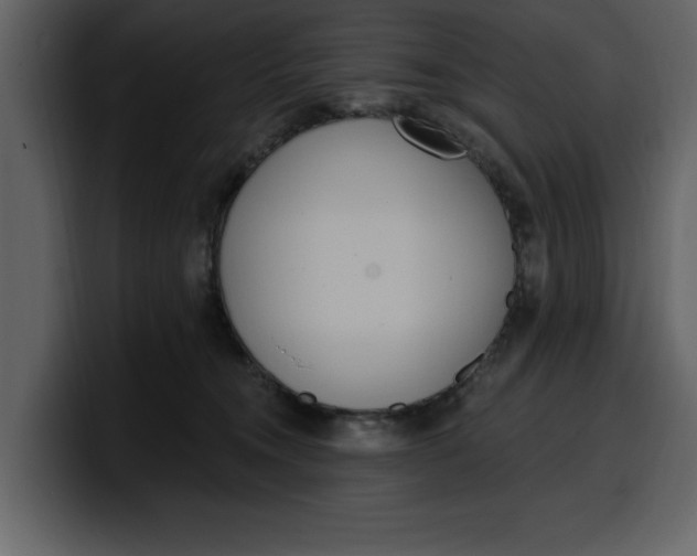 X0000100320372200806191008