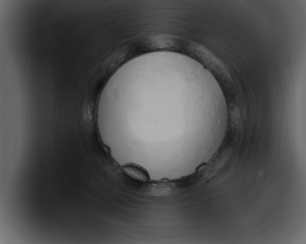 X0000100320373200806191008