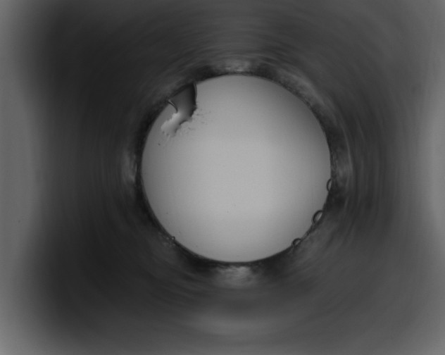 X0000100320374200806191008