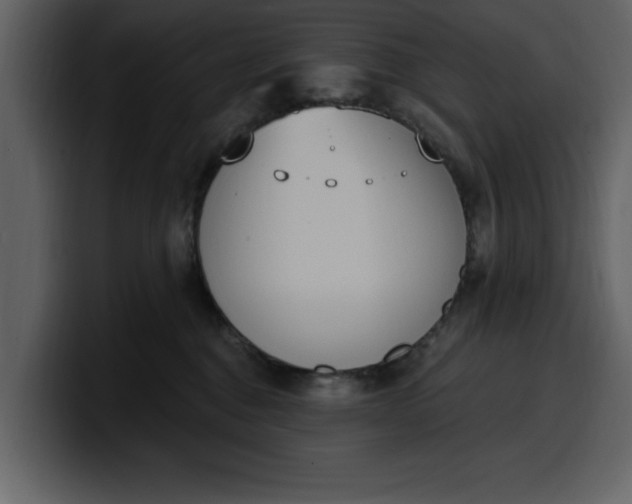 X0000100320376200806191008