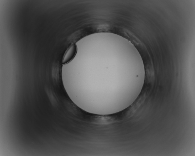 X0000100320379200806191008