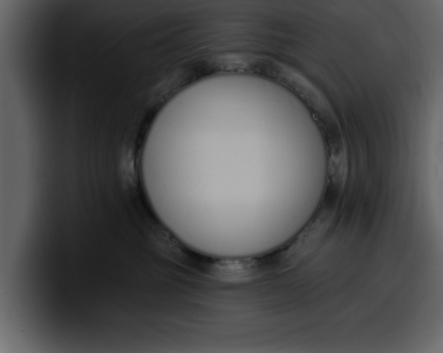 X0000100320381200806191008