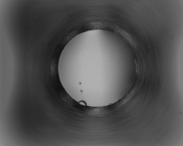 X0000100320382200806191008