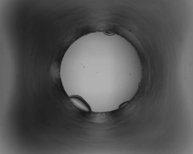 X0000100320384200806191008