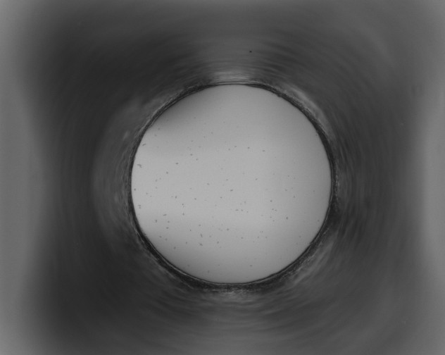 X0000100320385200806191008