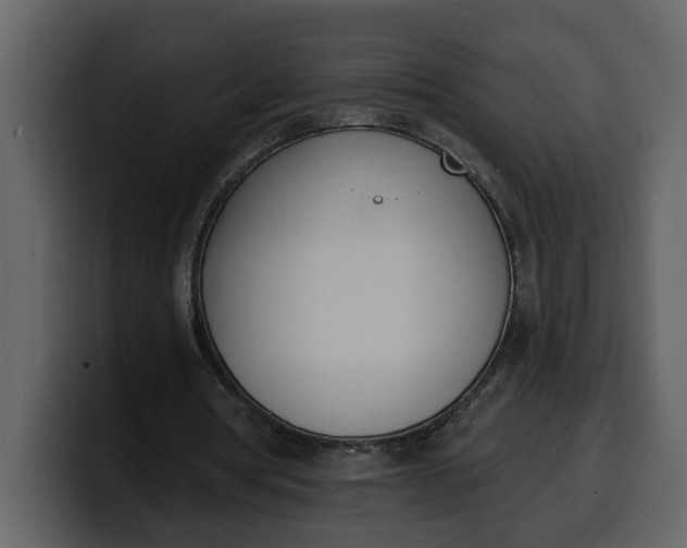 X0000100320386200806191008