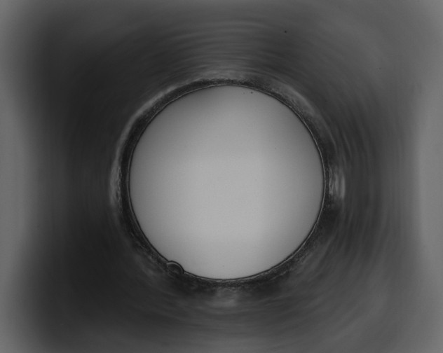 X0000100320388200806191008