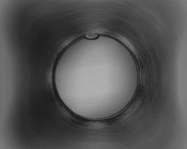 X0000100320389200806191007