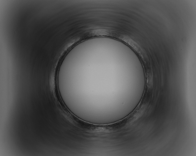 X0000100320390200806191007