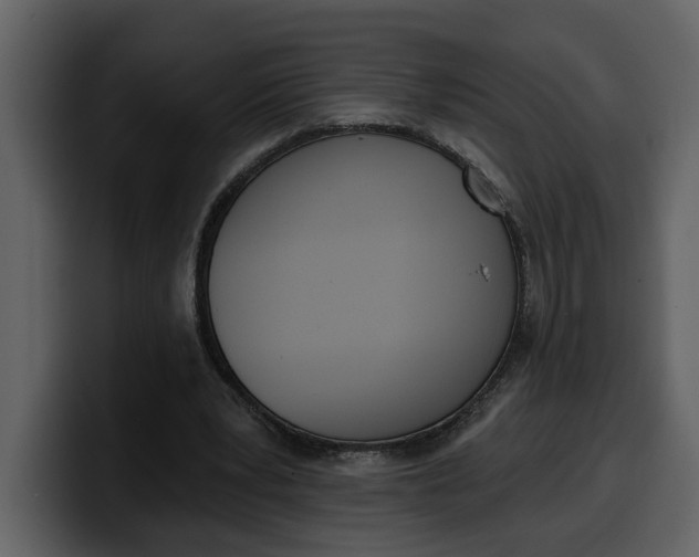 X0000100320391200806191007