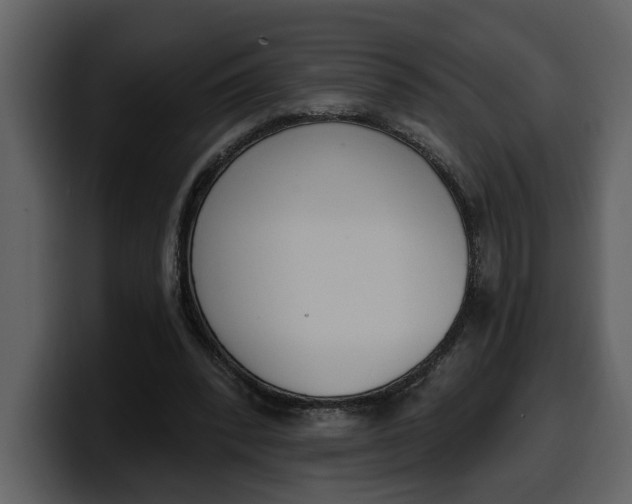 X0000100320392200806191007