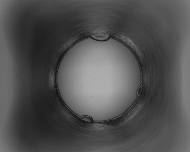 X0000100320393200806191007