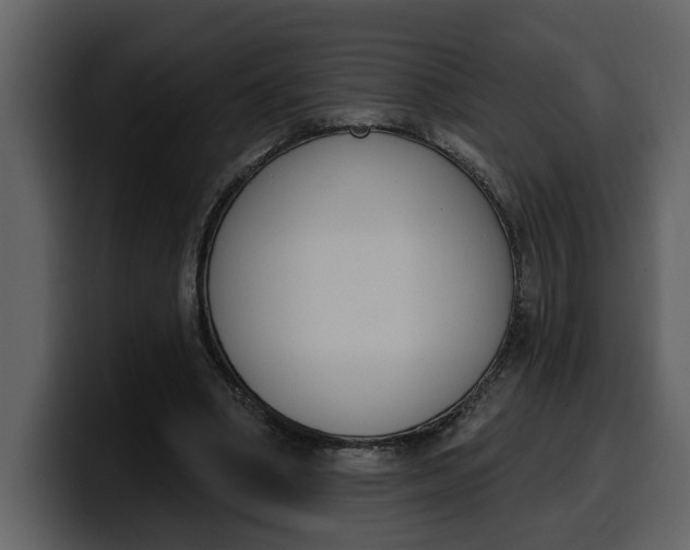 X0000100320394200806191007