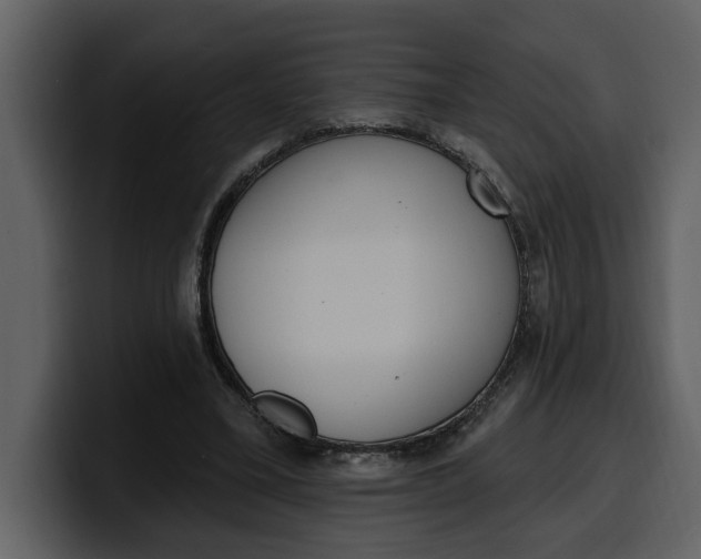 X0000100320395200806191007