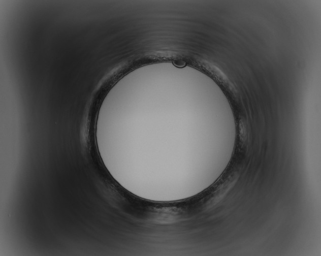 X0000100320396200806191007