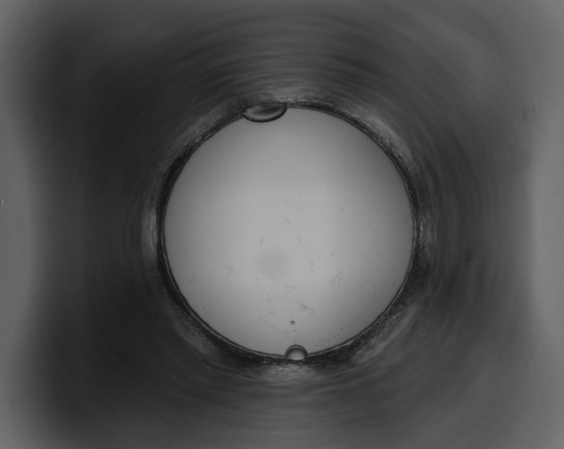 X0000100320397200806191007