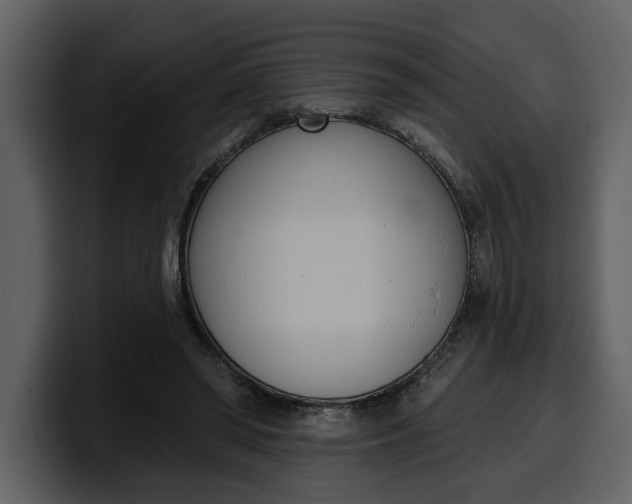 X0000100320398200806191007