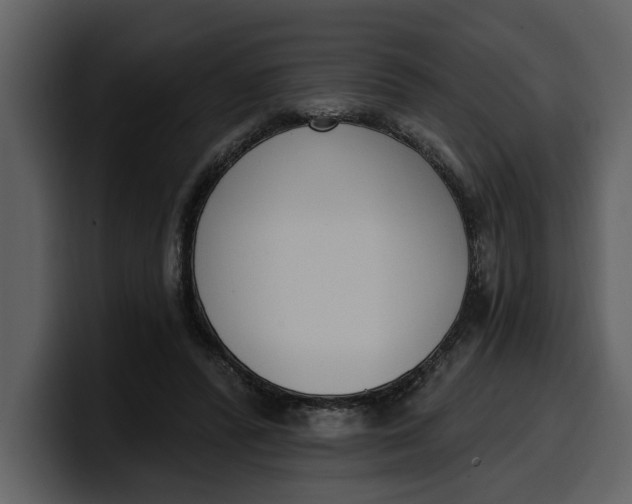 X0000100320400200806191007