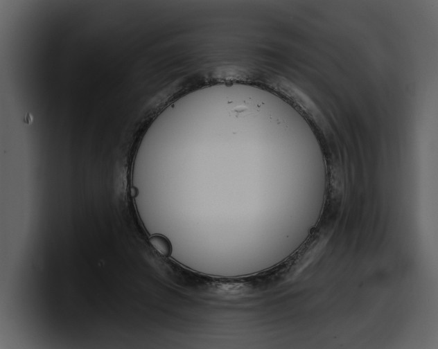 X0000100320401200806191007