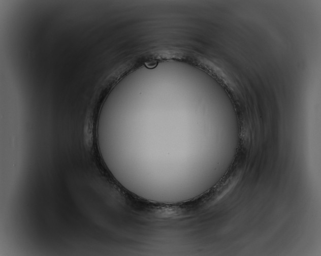 X0000100320402200806191007