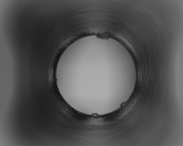 X0000100320403200806191007