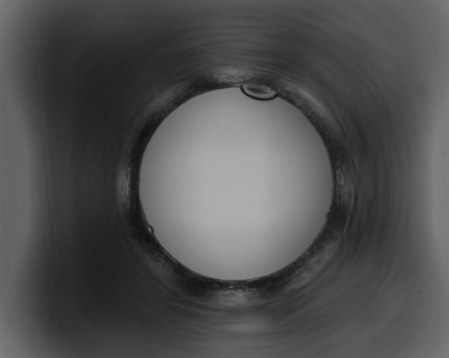 X0000100320404200806191007